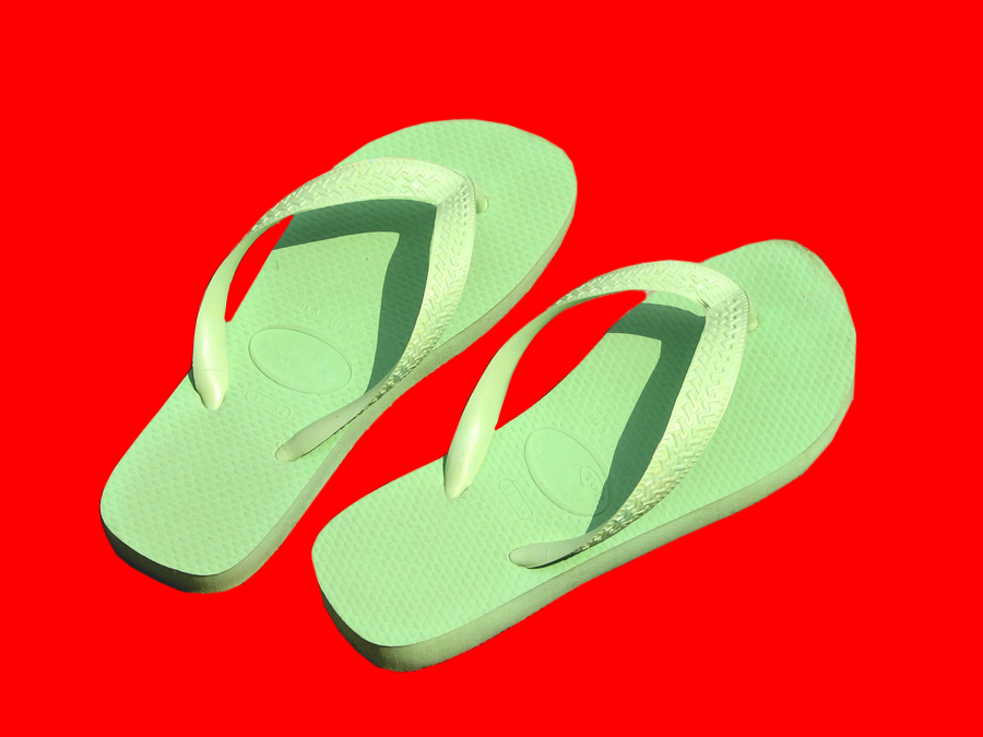 Flip Flop Mask